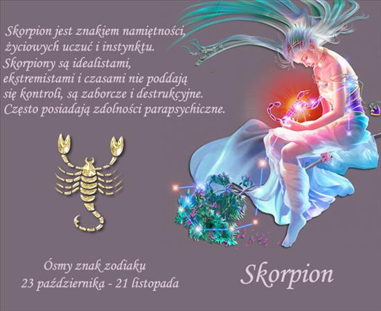 Skorpion - skorpion-1.jpg