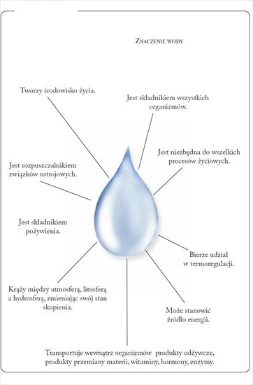 WODA I JEJ ZNACZENIE2 - znaczenie wody1.JPG