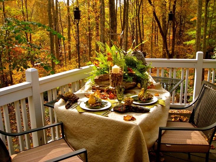 3.Jesienna - 35477-Fall-Outdoor-Dining.jpg
