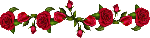  Gify kwiaty linie poziome poziom  - róża.gif